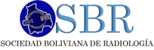 logo-sbr350x114